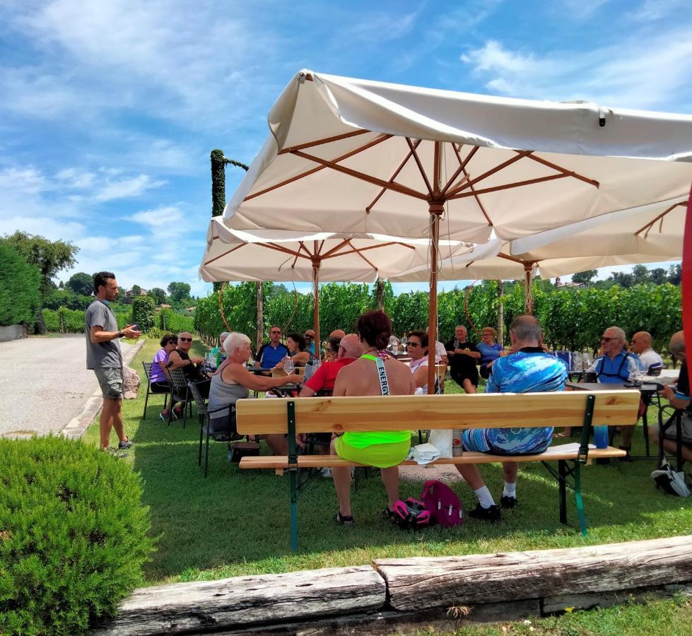Agriturismo Le Ginestre Lazise Dış mekan fotoğraf