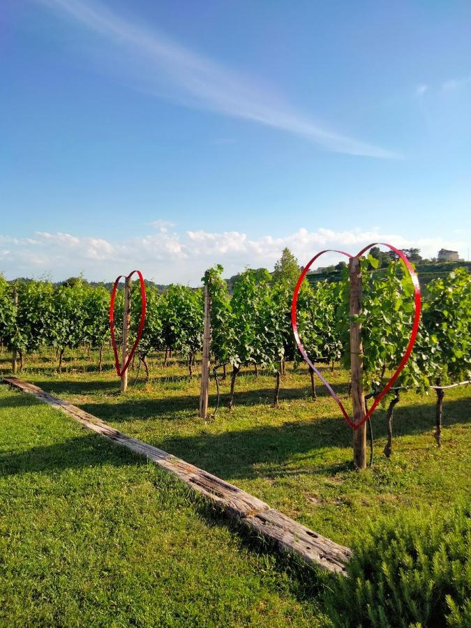 Agriturismo Le Ginestre Lazise Dış mekan fotoğraf