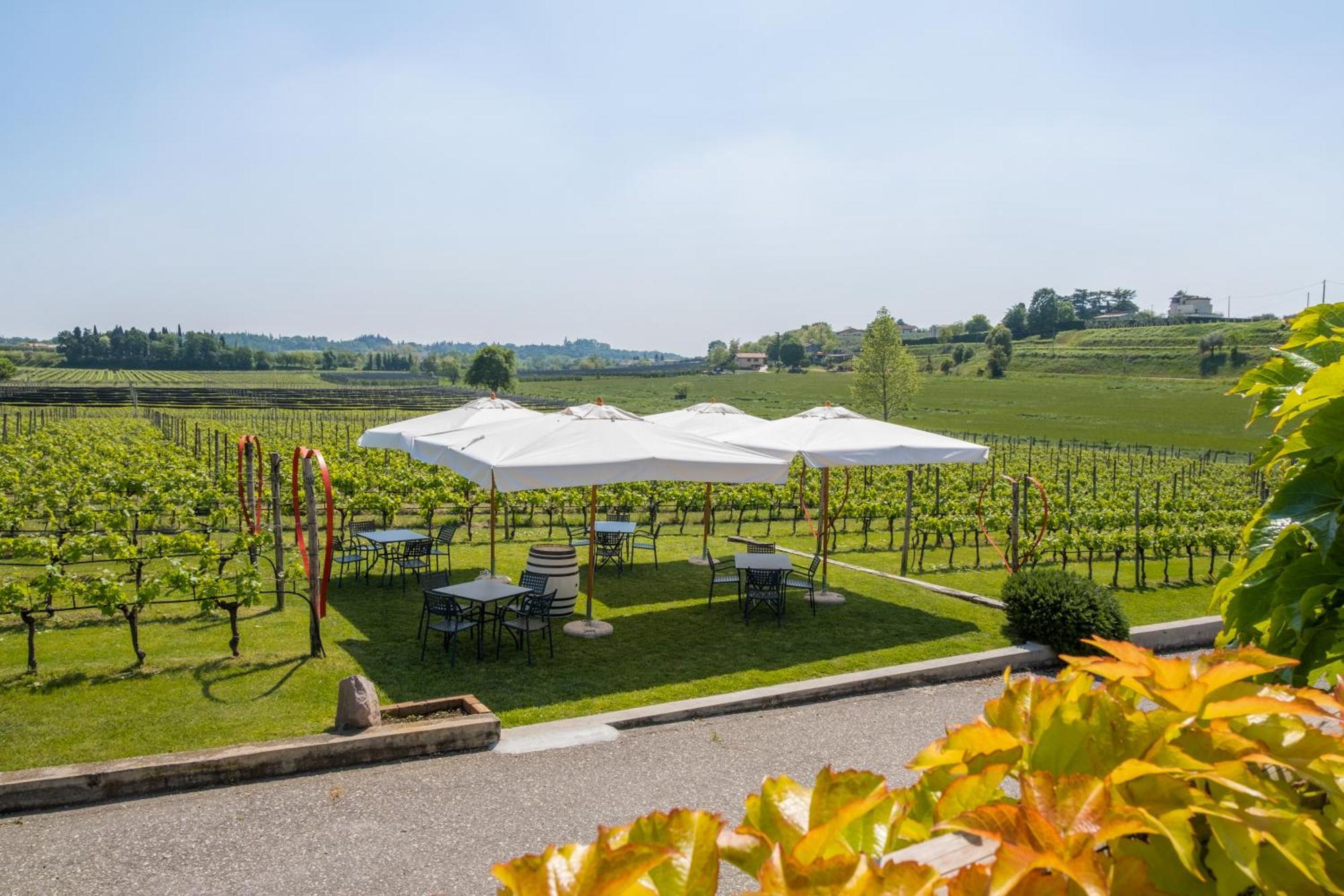 Agriturismo Le Ginestre Lazise Dış mekan fotoğraf